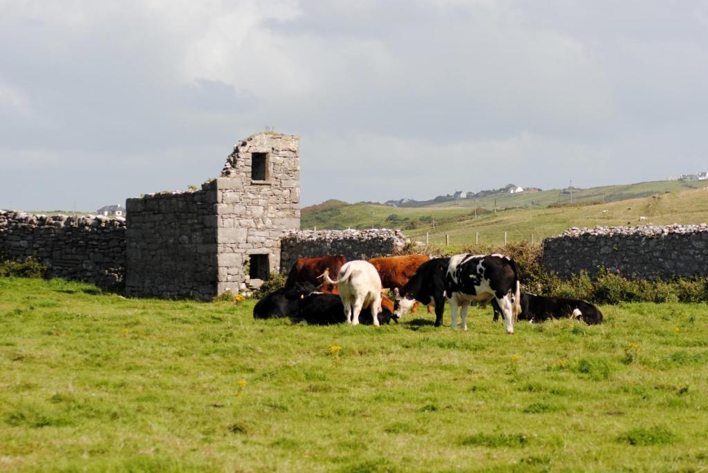 O'Connor'S Accommodation Doolin Εξωτερικό φωτογραφία