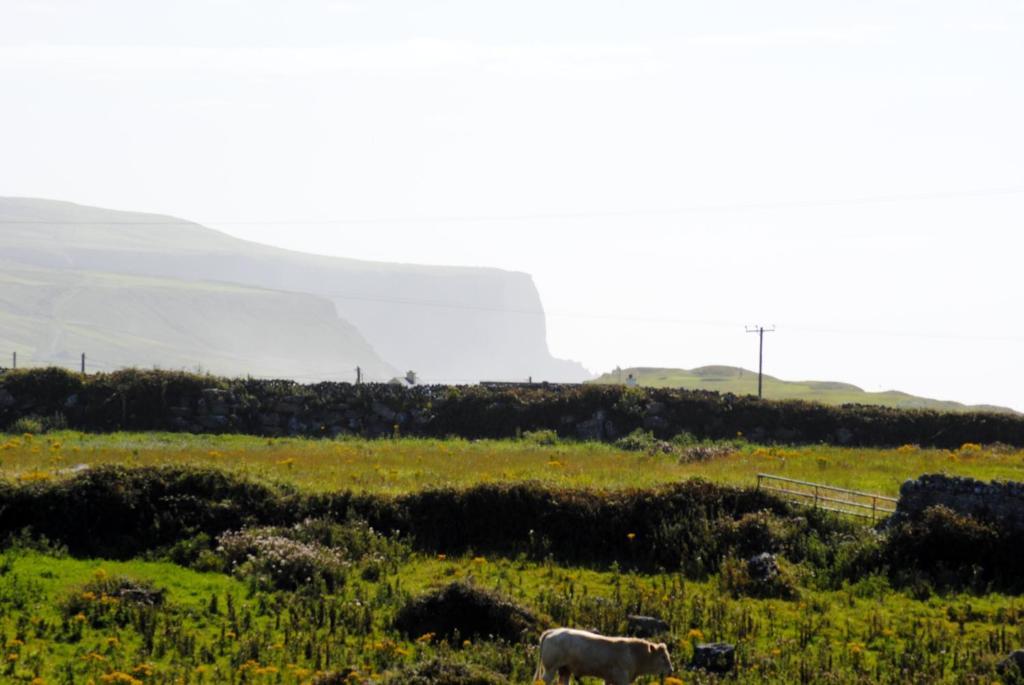 O'Connor'S Accommodation Doolin Εξωτερικό φωτογραφία