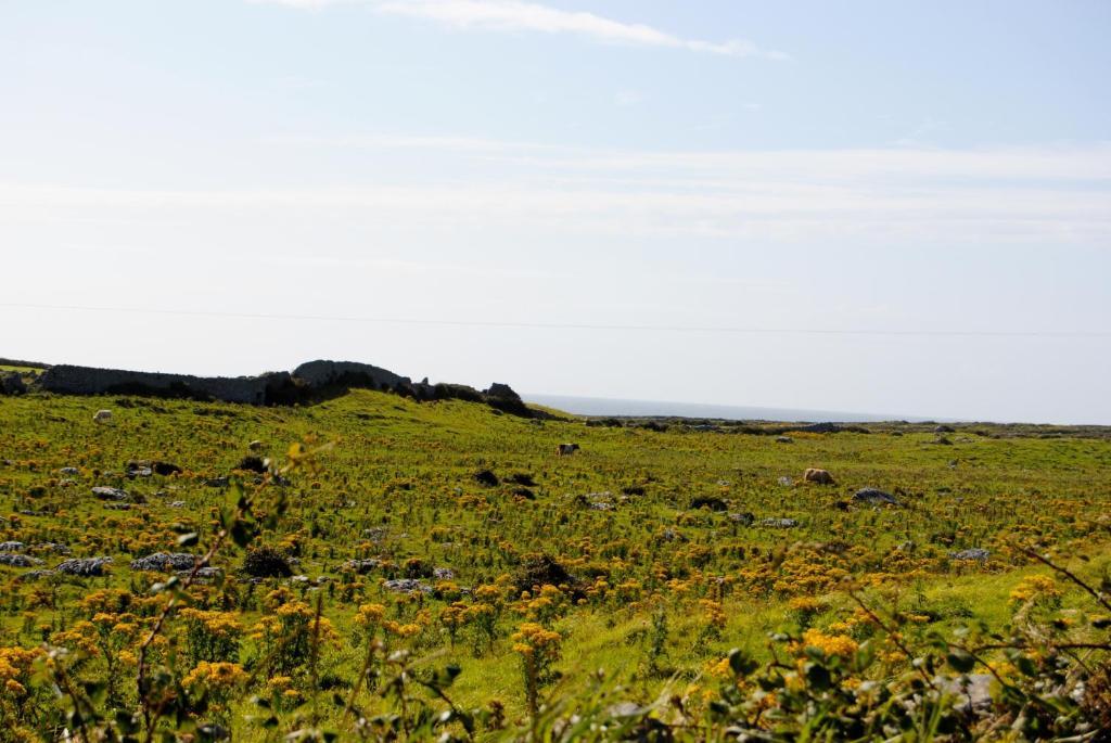 O'Connor'S Accommodation Doolin Εξωτερικό φωτογραφία